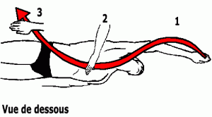 l essentiel a savoir sur le crawl